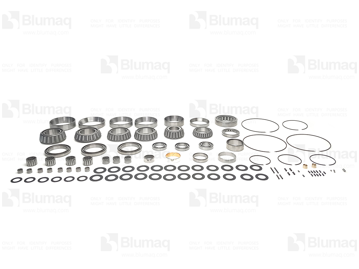 1919318 BQ KIT-DT BEA