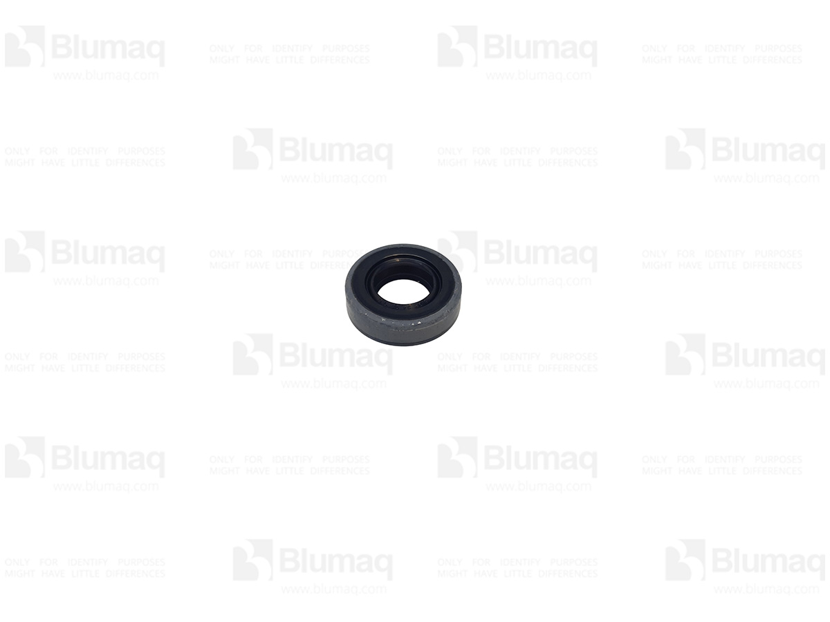 4475614 BQ SEAL-LIP T