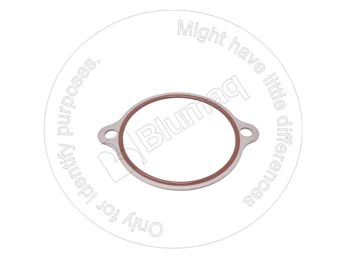 2752164 ST САЛЬНИК