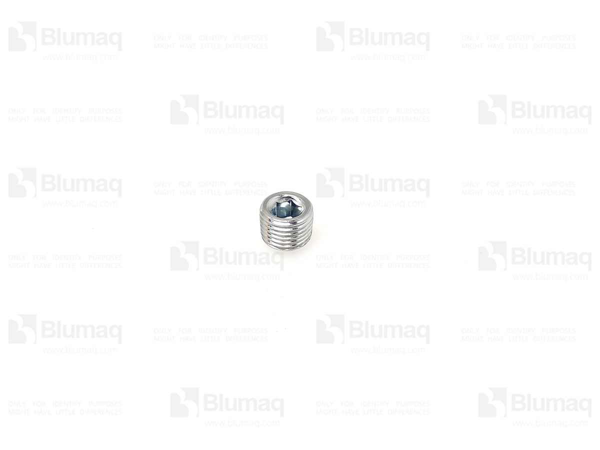 VOE17484411 ST PLUG