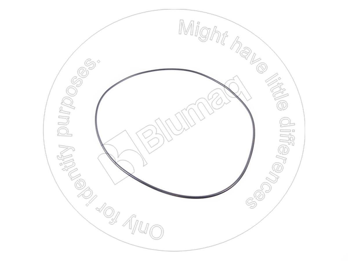 969529 ST КОЛЬЦО КРУГЛОГО СЕЧЕНИЯ