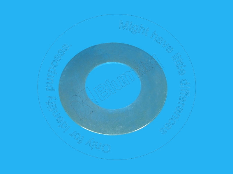 9R3865 BQ ШАЙБА