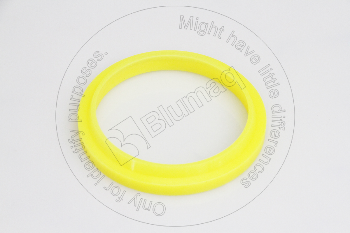 5J8016 ST САЛЬНИК