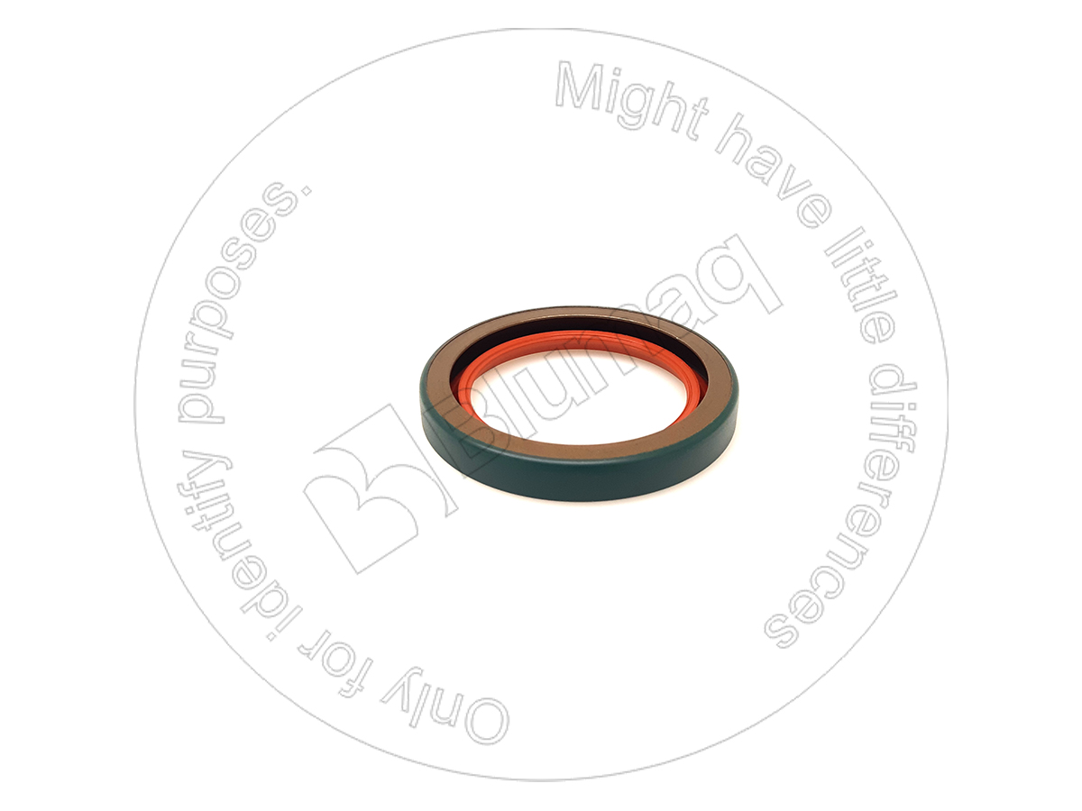 5S6296 ST САЛЬНИК КОЛЕНВАЛА