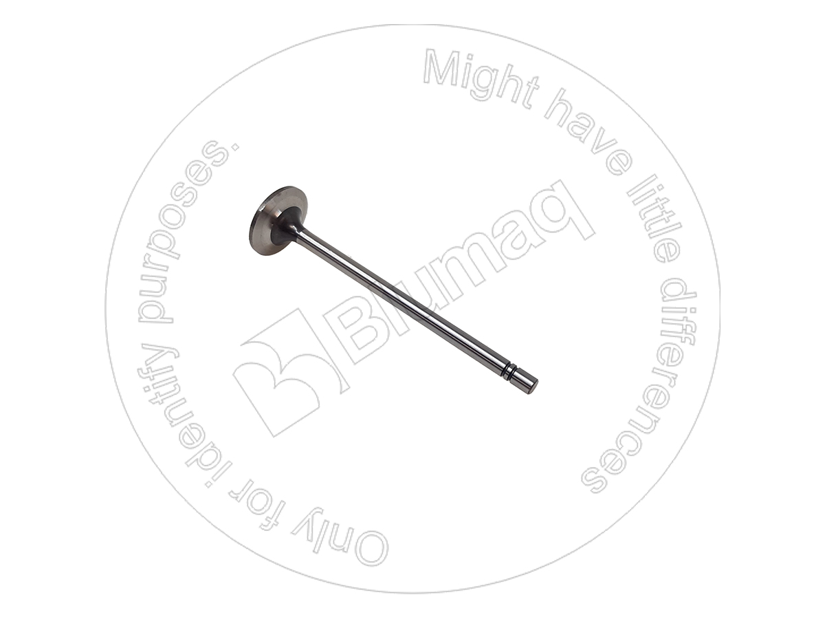 3848702 BQ КОМПЛЕКТ ВПУСКНОГО КЛАПАНА