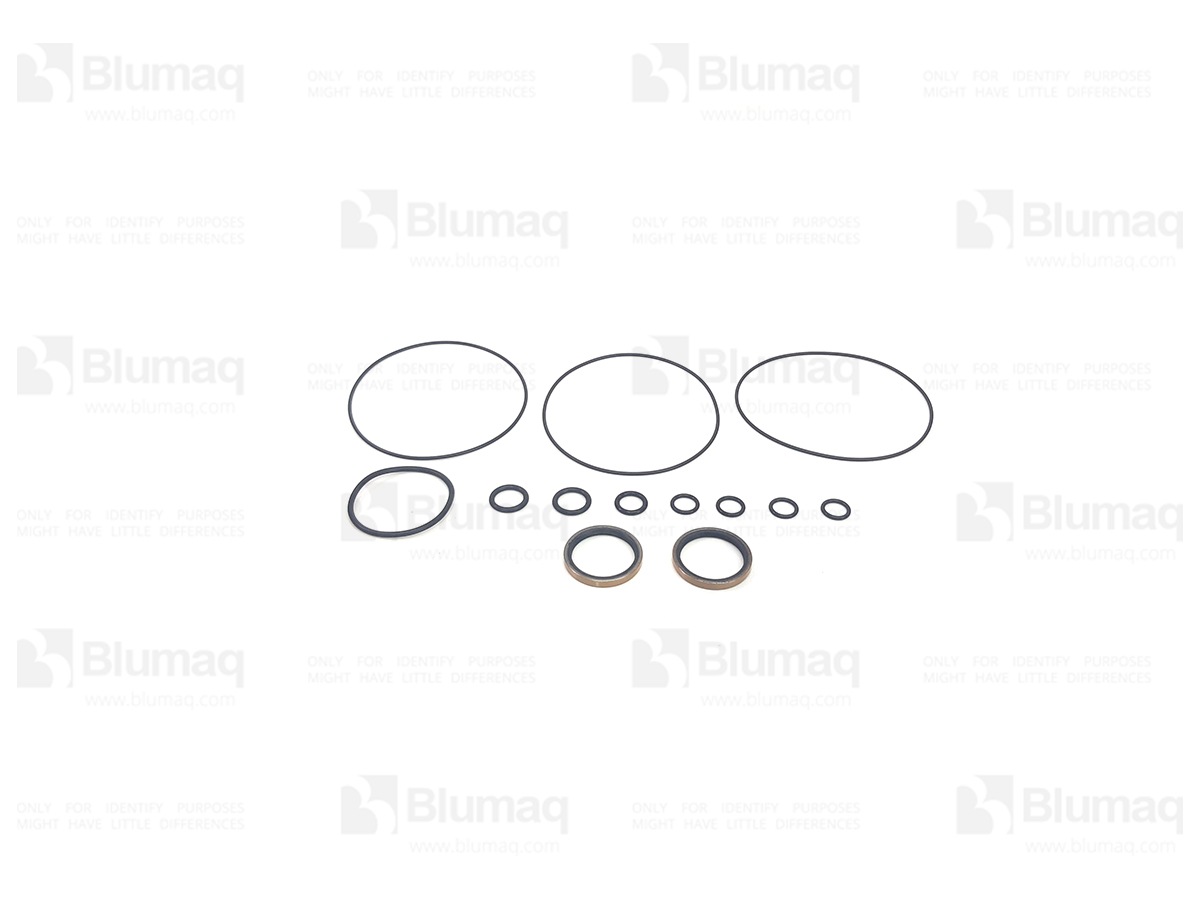 ST15048 BQ РЕМ.КОМПЛЕКТ