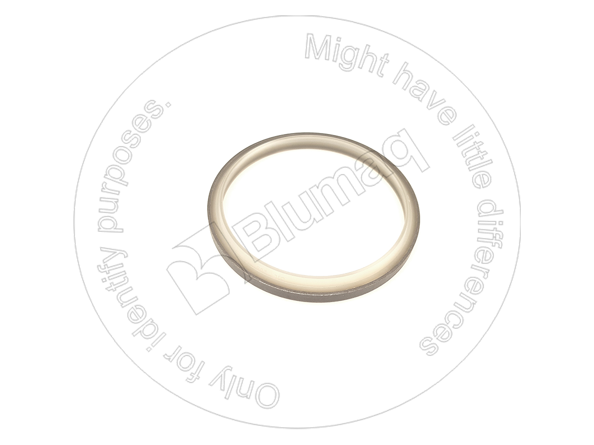 5137981 ST САЛЬНИК