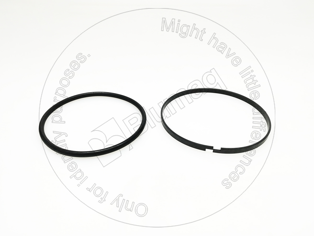 9X3605 ST САЛЬНИК