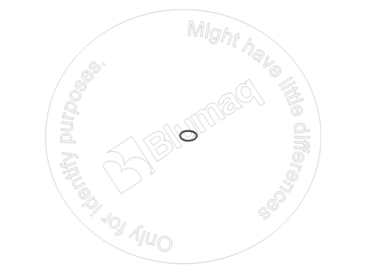 1999751 ST УПЛОТНИТЕЛЬНОЕ КОЛЬЦО