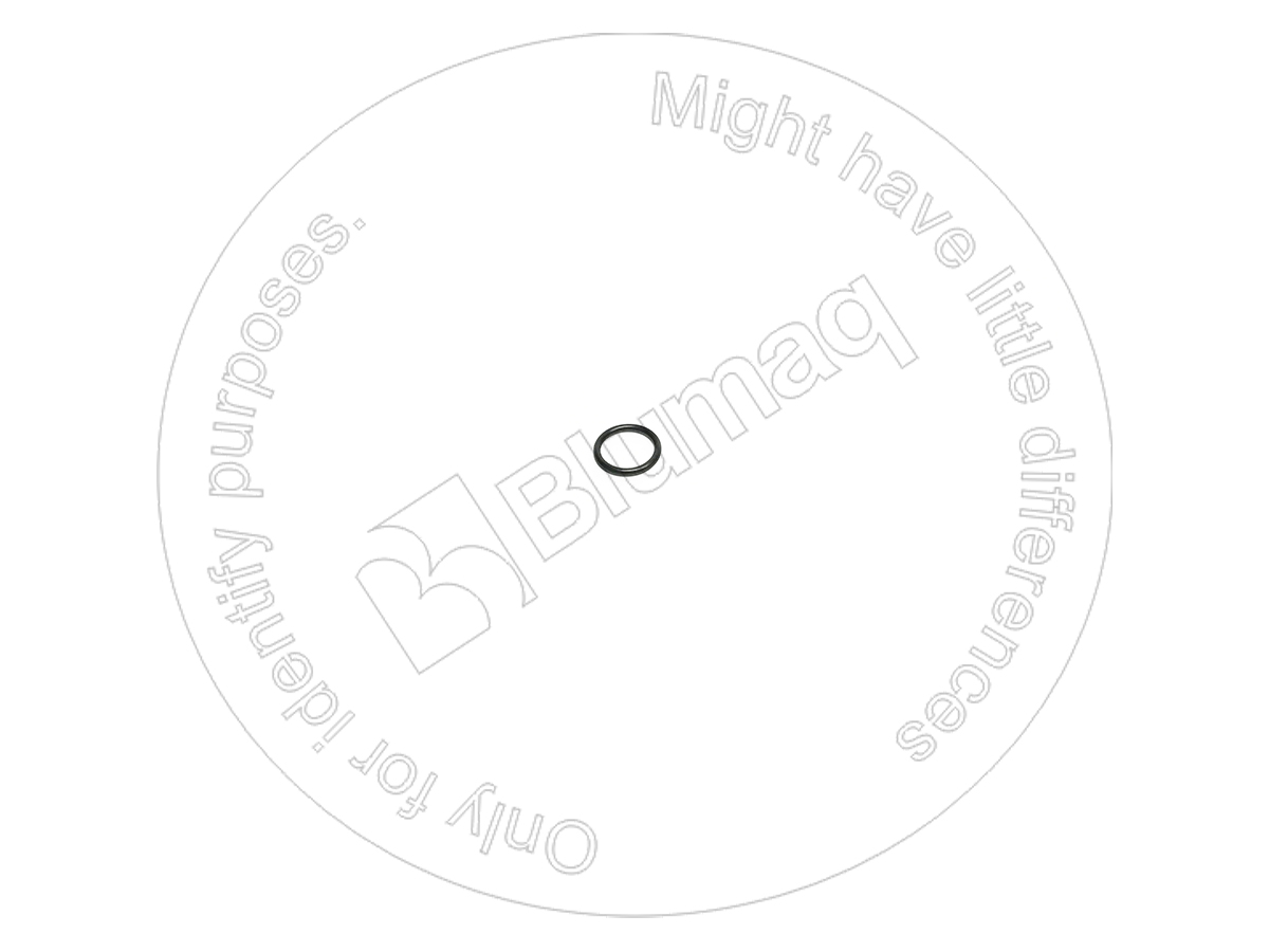 951593 BQ УПЛОТНИТЕЛЬНОЕ КОЛЬЦО