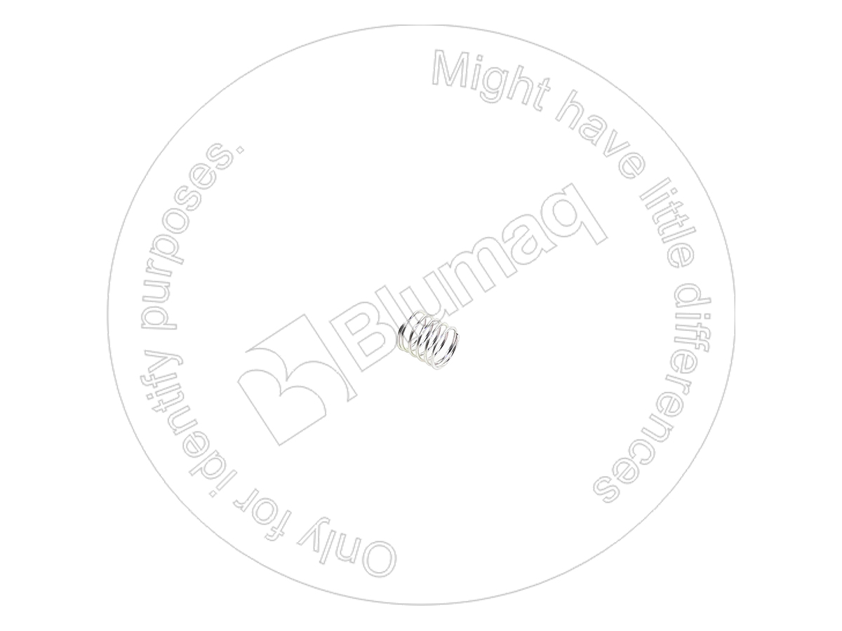 DK4870270300 OE ПРУЖИНА