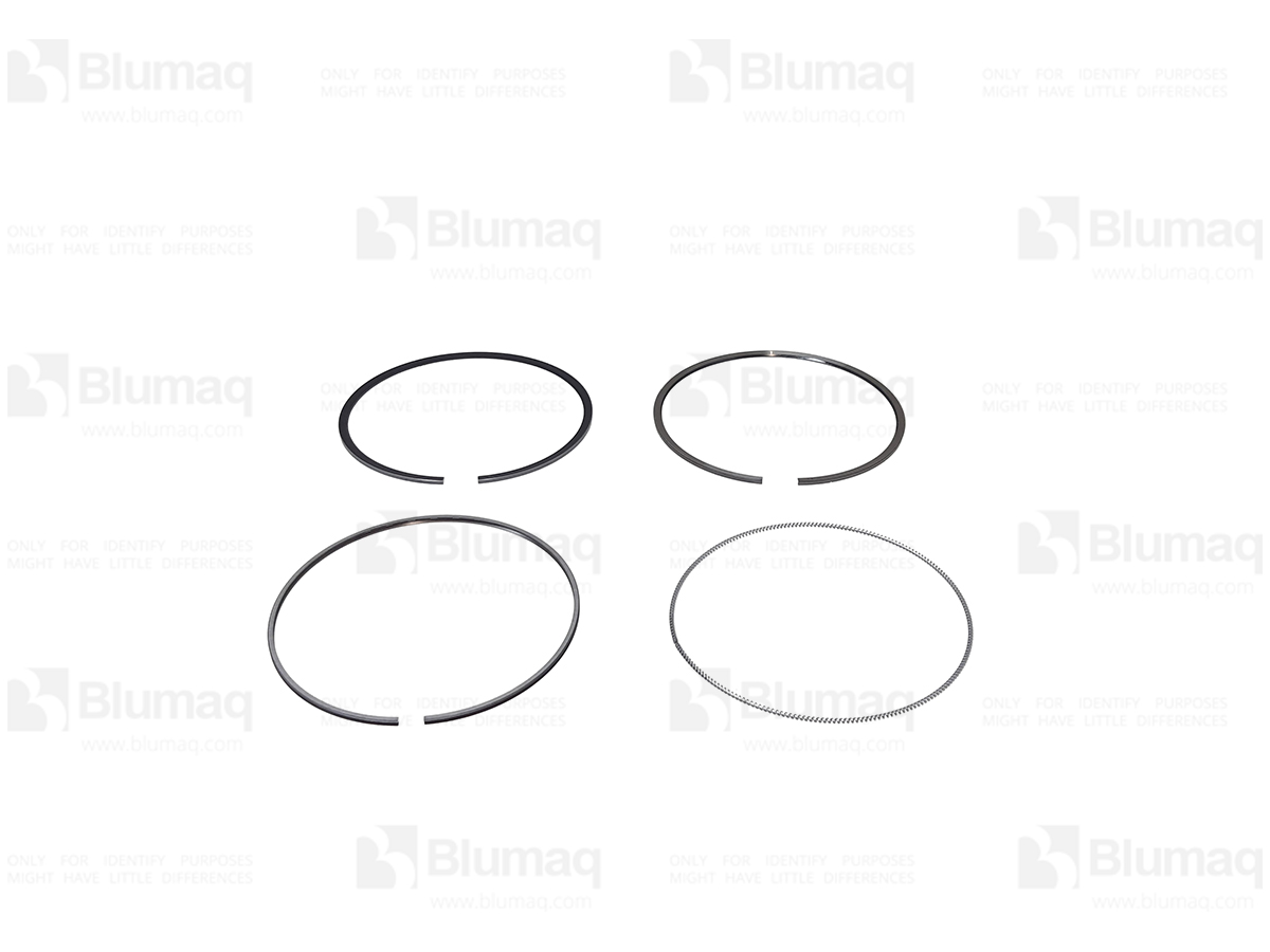6252312030 ST PISTON RING ASS