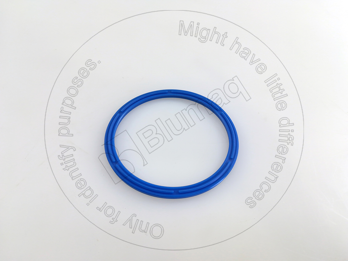 3Q7882 ST САЛЬНИК