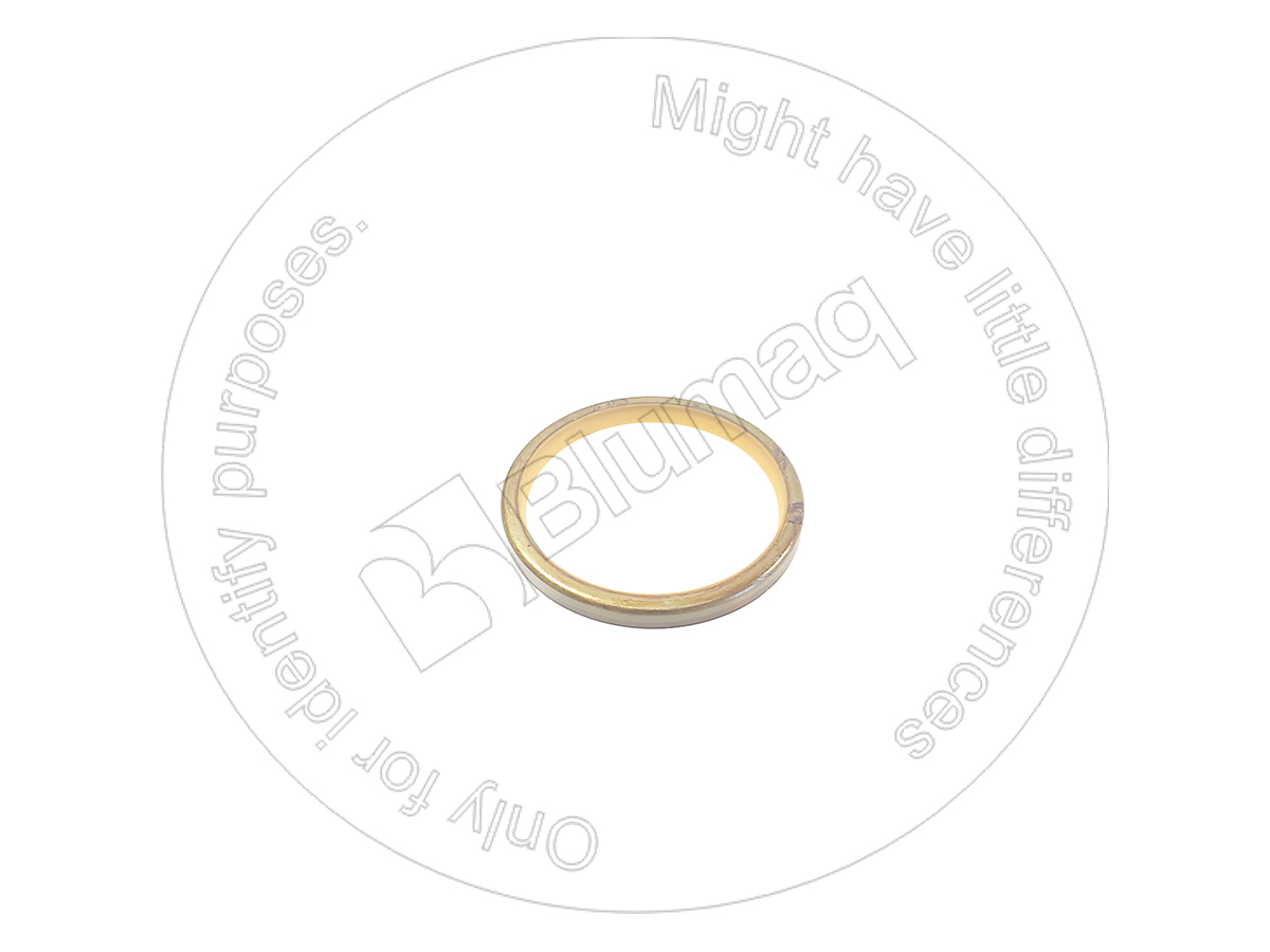 3816561891 OR САЛЬНИК