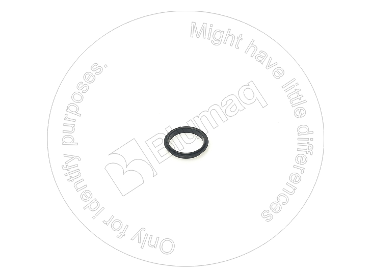 1010384 ST САЛЬНИК