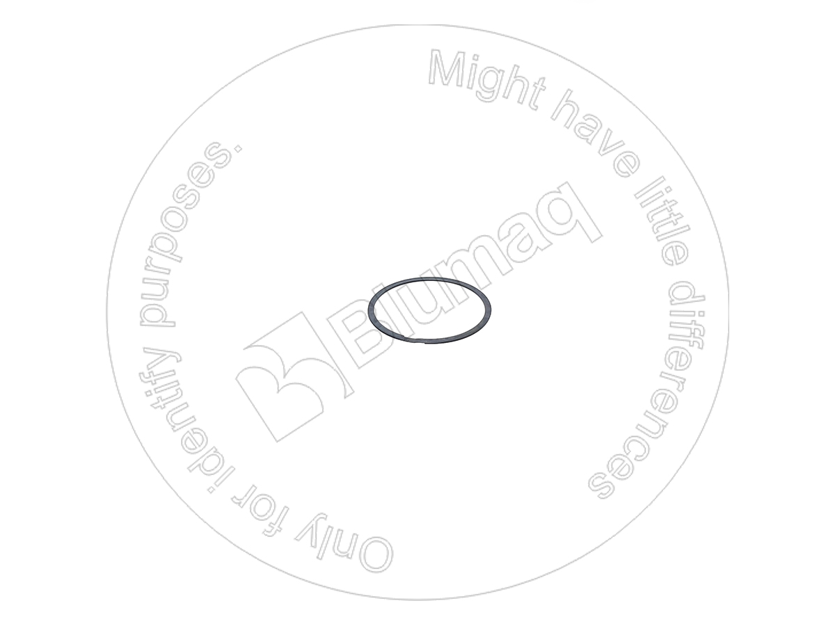 646005 DE КОЛЬЦО