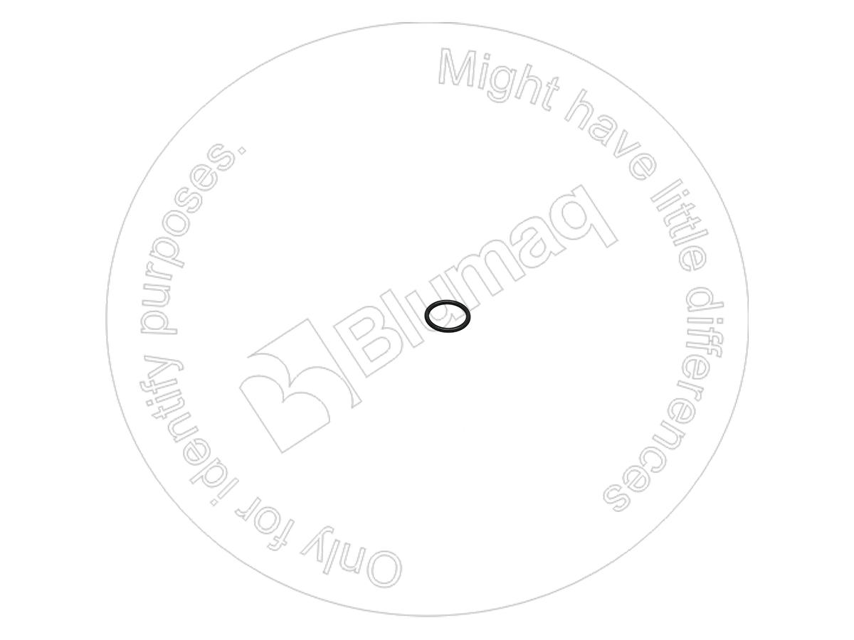 0289611012 ST КОЛЬЦО КРУГЛОГО СЕЧЕНИЯ