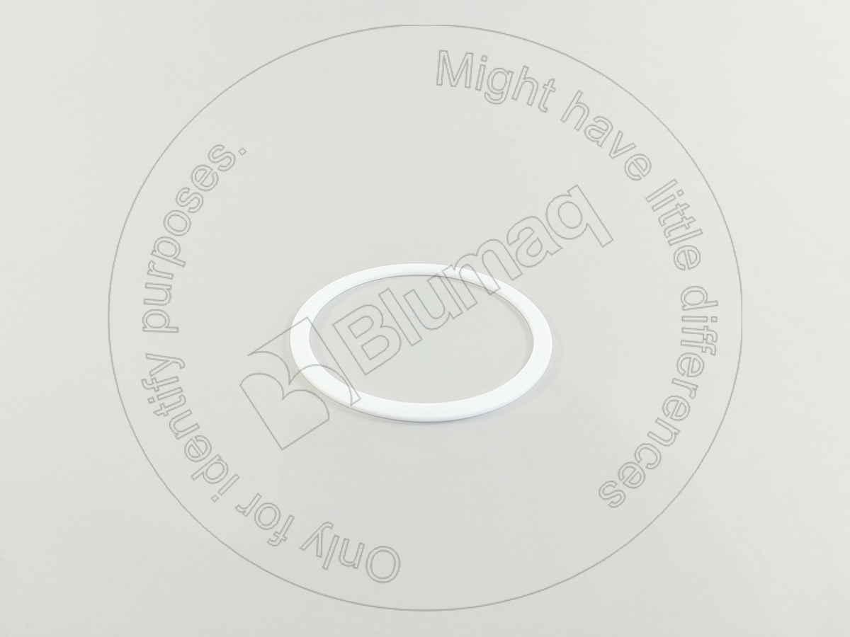 8J4561 ST САЛЬНИК