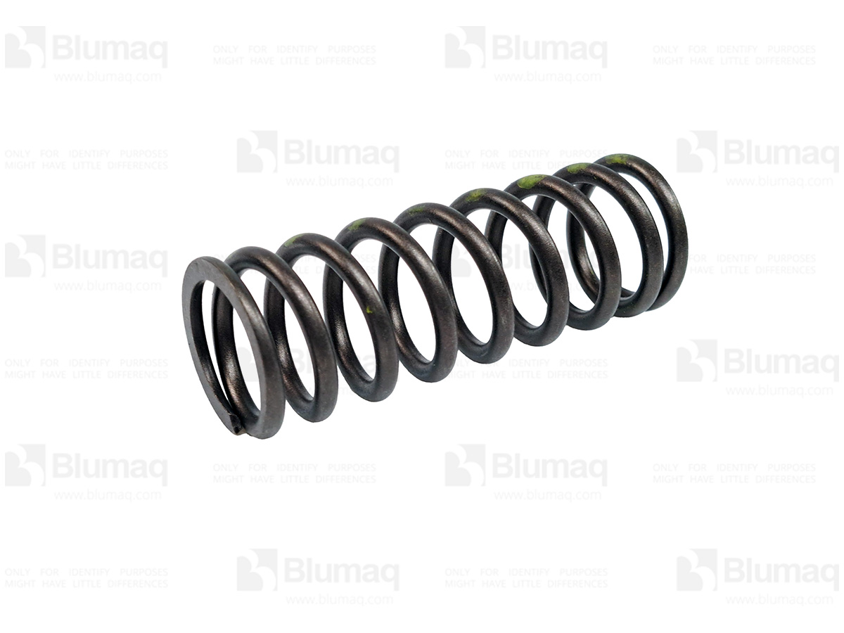 2558678 OE SPRING-VLV