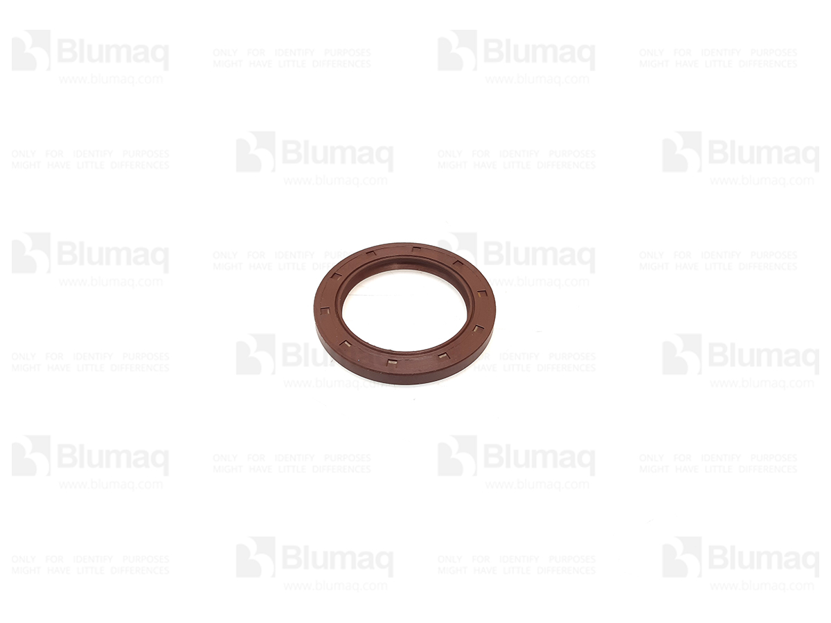 7I0033 BQ САЛЬНИК