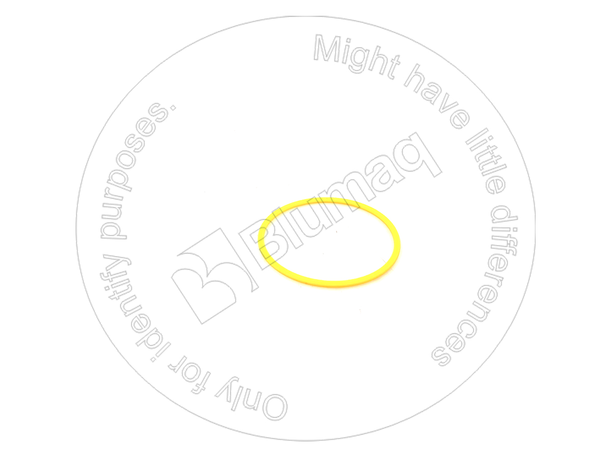 6H1995 ST КОЛЬЦО КРУГЛОГО СЕЧЕНИЯ