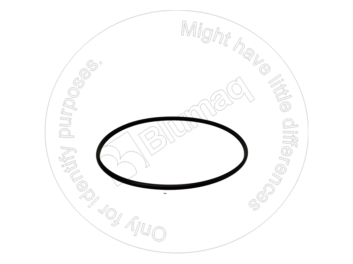 2050191 ST САЛЬНИК