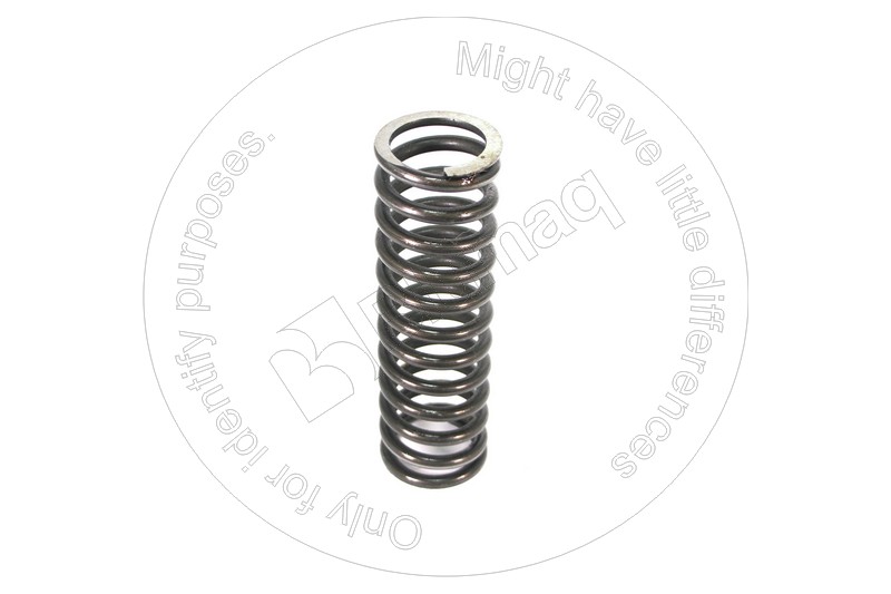 6P6586 BQ ПРУЖИНА
