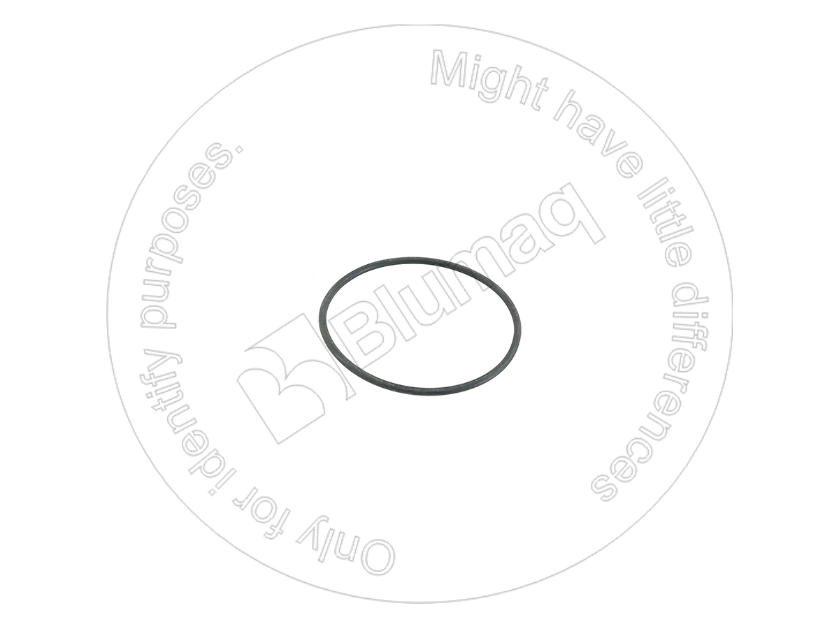 1138370 ST КОЛЬЦО КРУГЛОГО СЕЧЕНИЯ