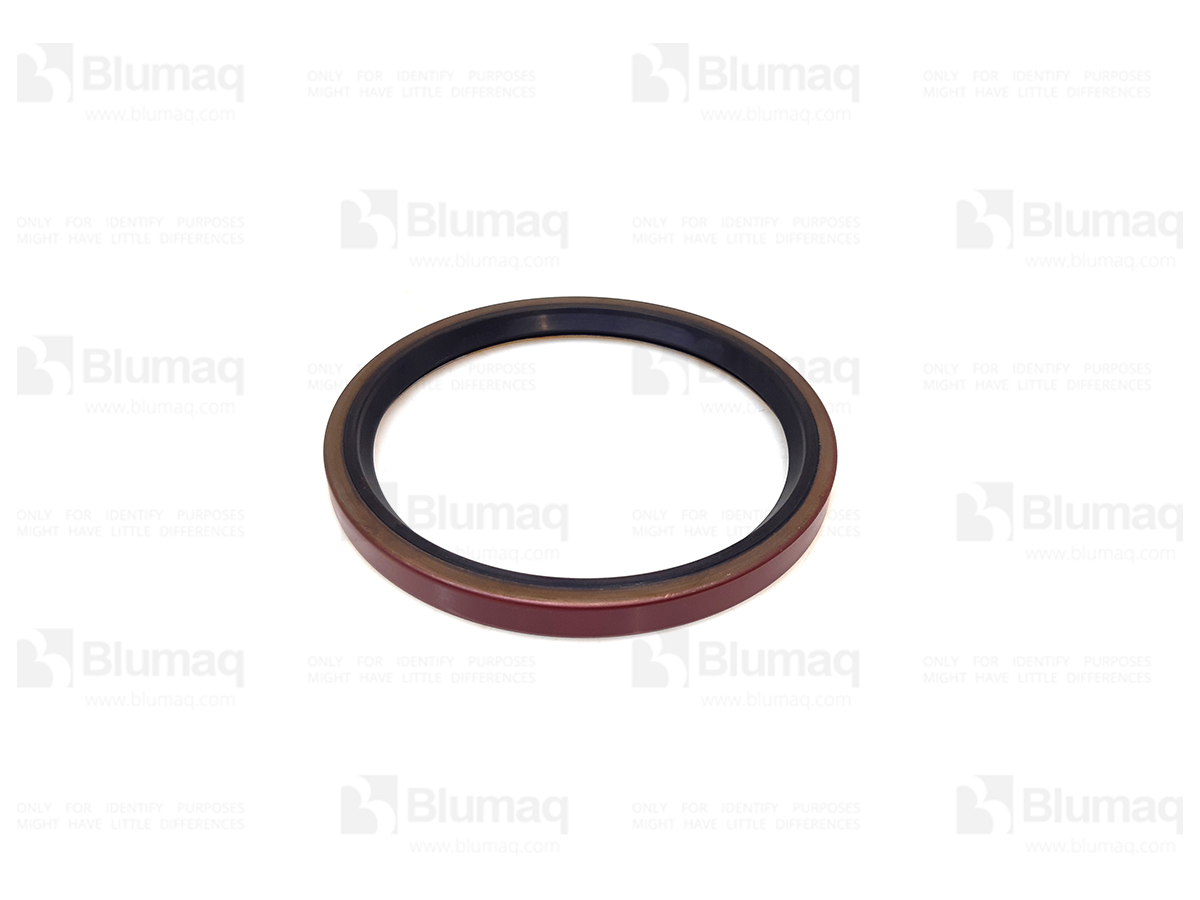 3K5093 ST САЛЬНИК