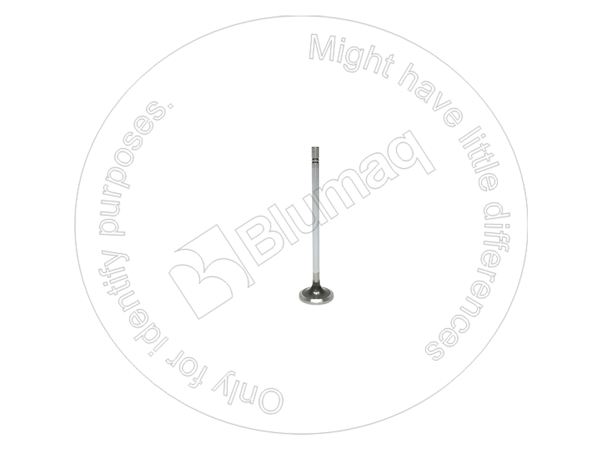 2365605 BQ КЛАПАН ВПУСКНОЙ