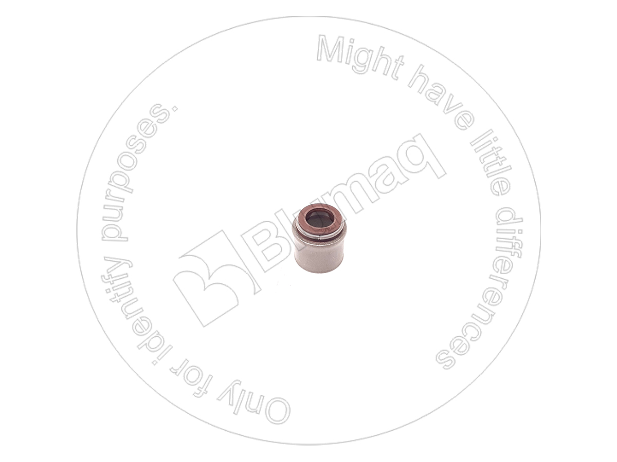 1039260 ST САЛЬНИК