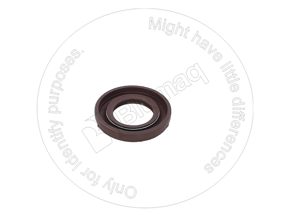 982873 ST САЛЬНИК