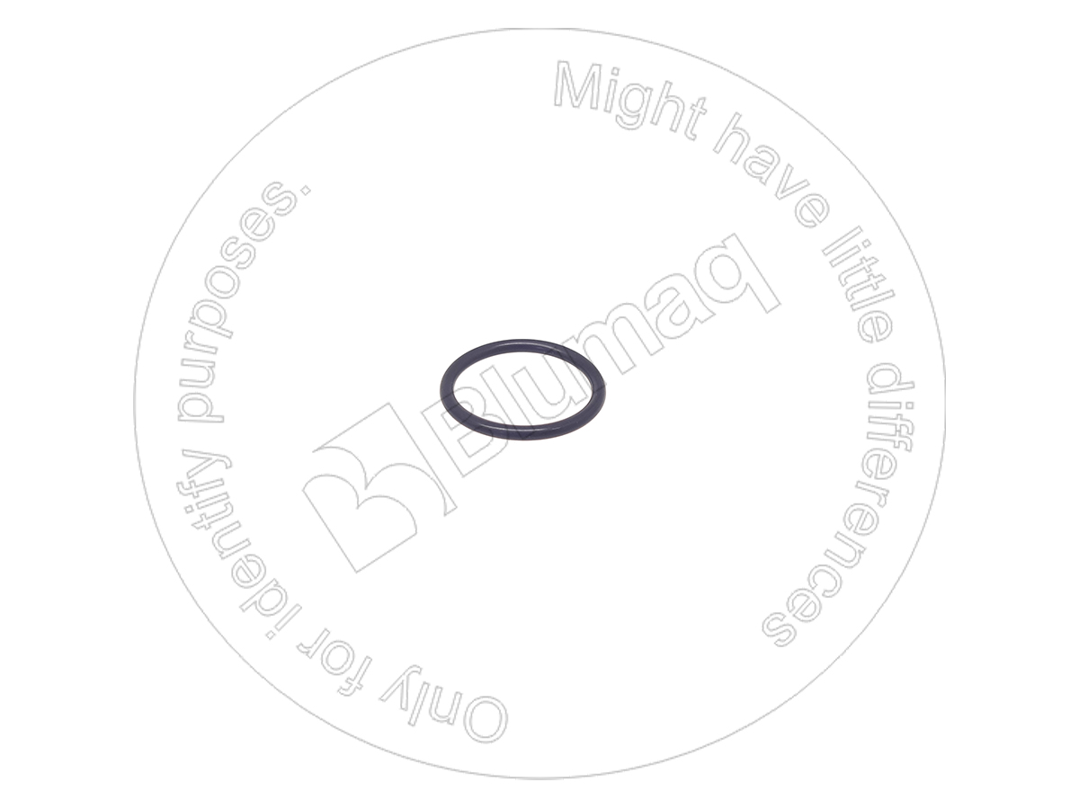 1094793 BQ КОЛЬЦО КРУГЛОГО СЕЧЕНИЯ