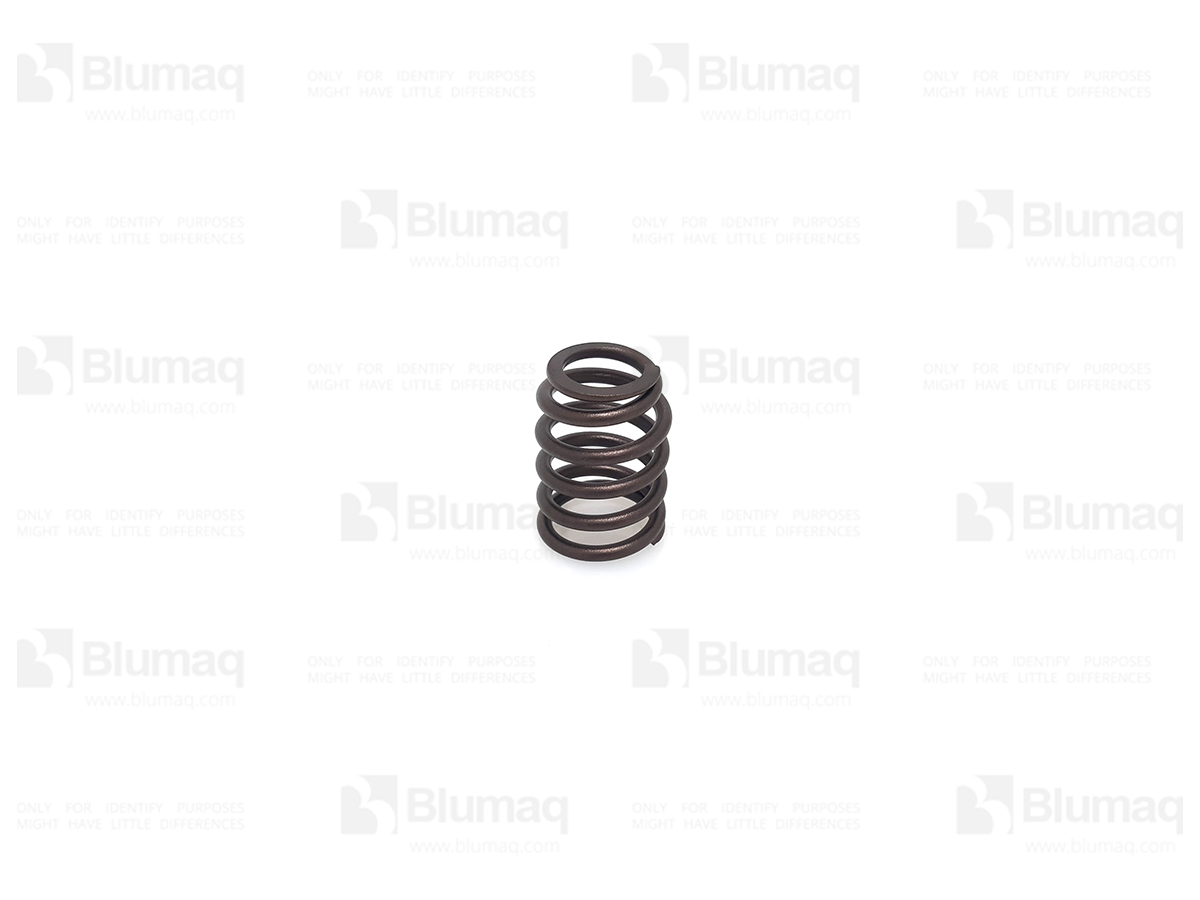 4360519 OE ПРУЖИНА