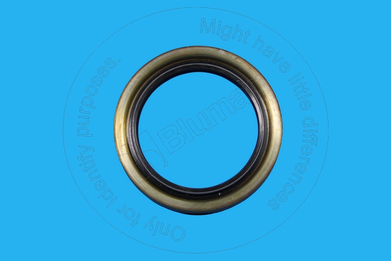 5Y0143 ST САЛЬНИК