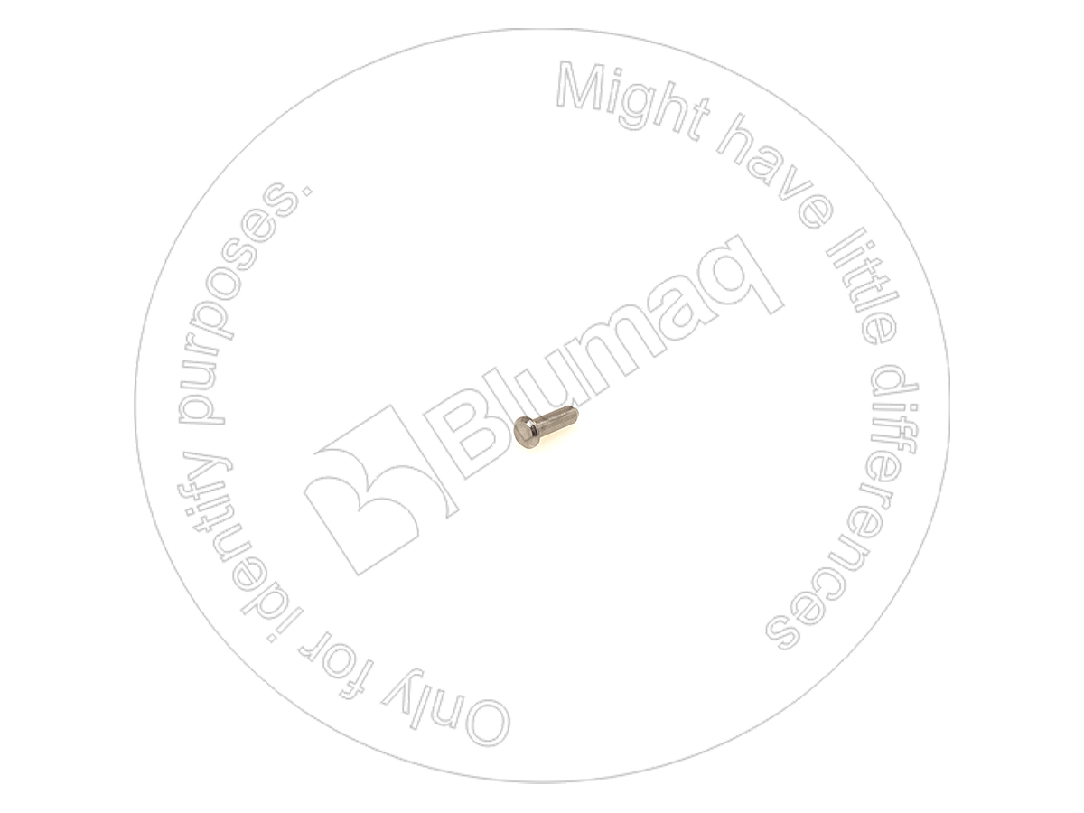 960067 ST PIN CLEVIS