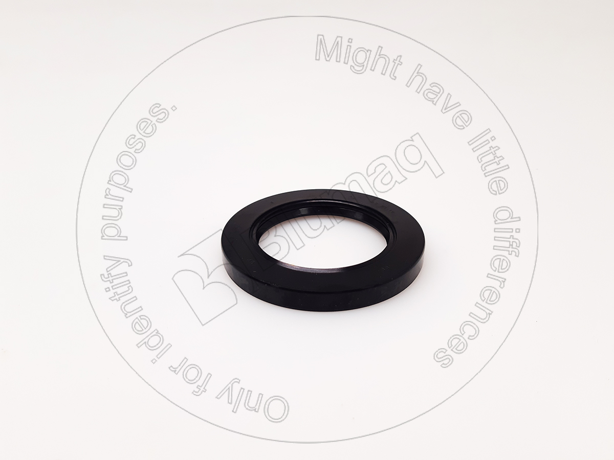 5W5453 ST САЛЬНИК