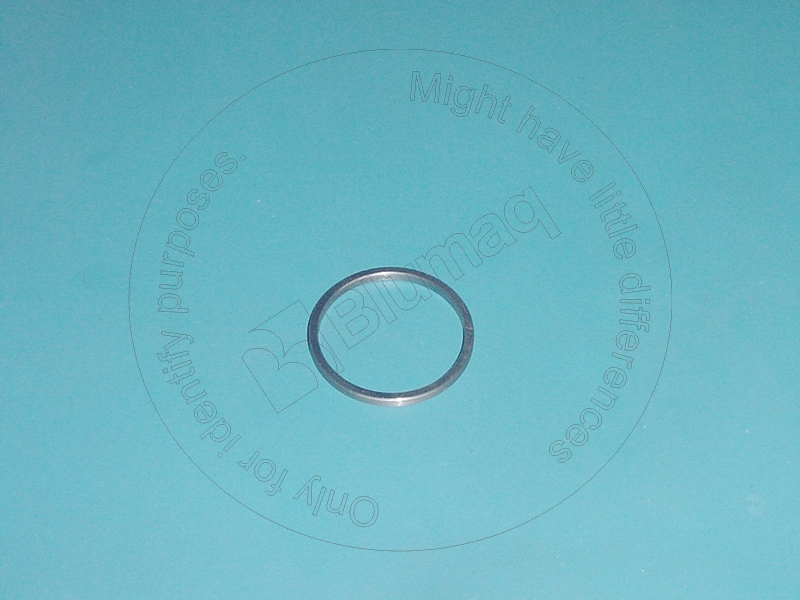1G7419 ST ШАЙБА