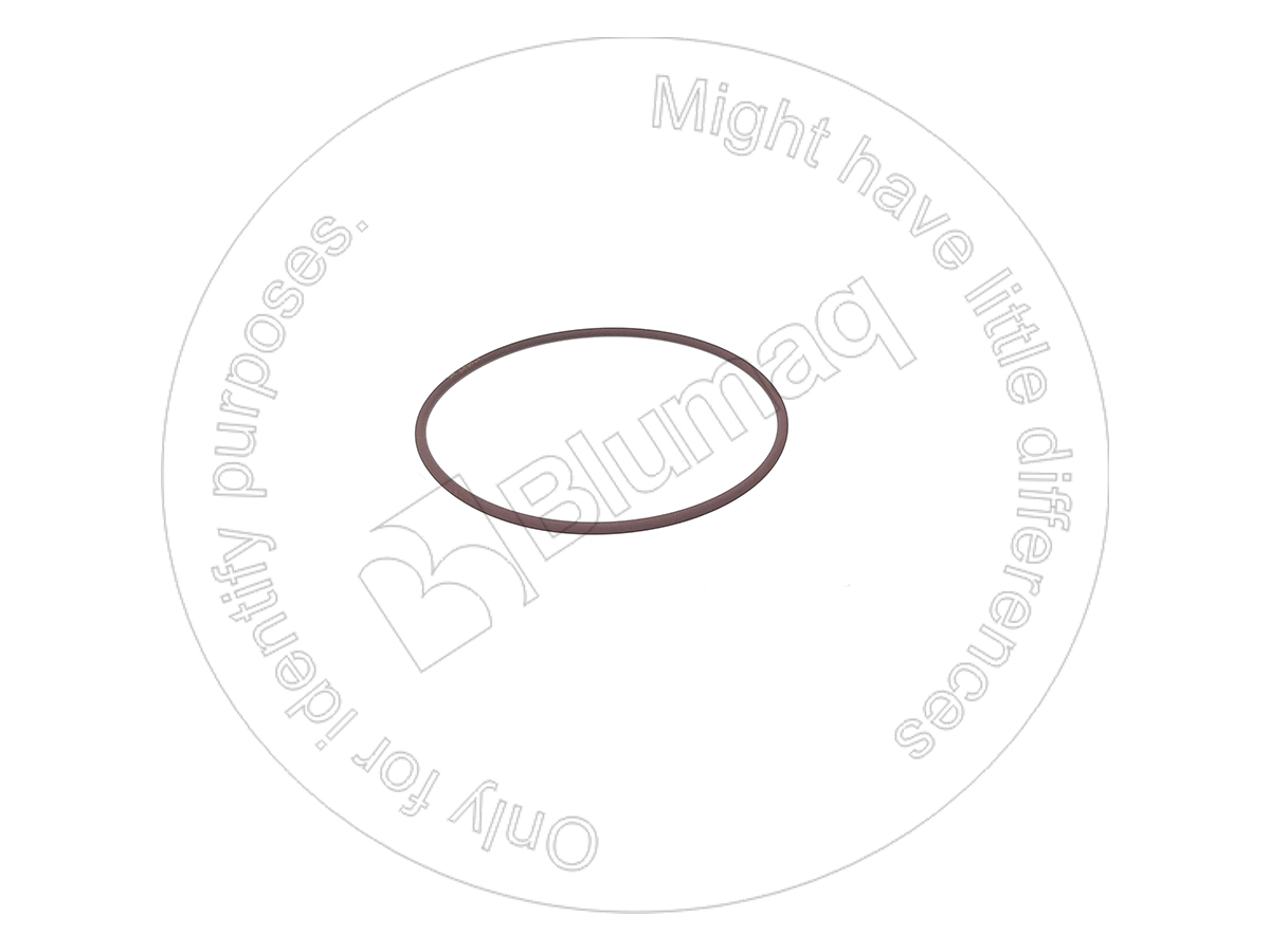 0774091 ST КОЛЬЦО КРУГЛОГО СЕЧЕНИЯ