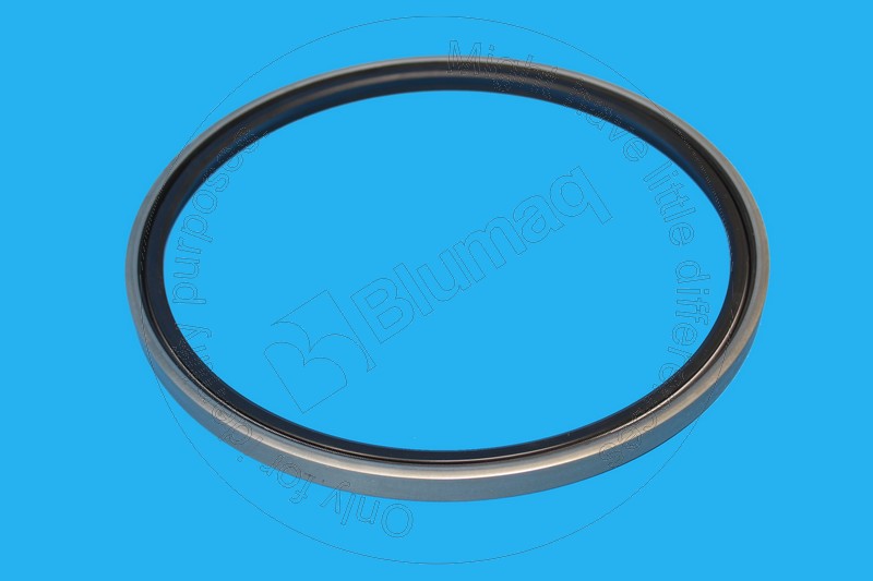 1S5347 ST САЛЬНИК