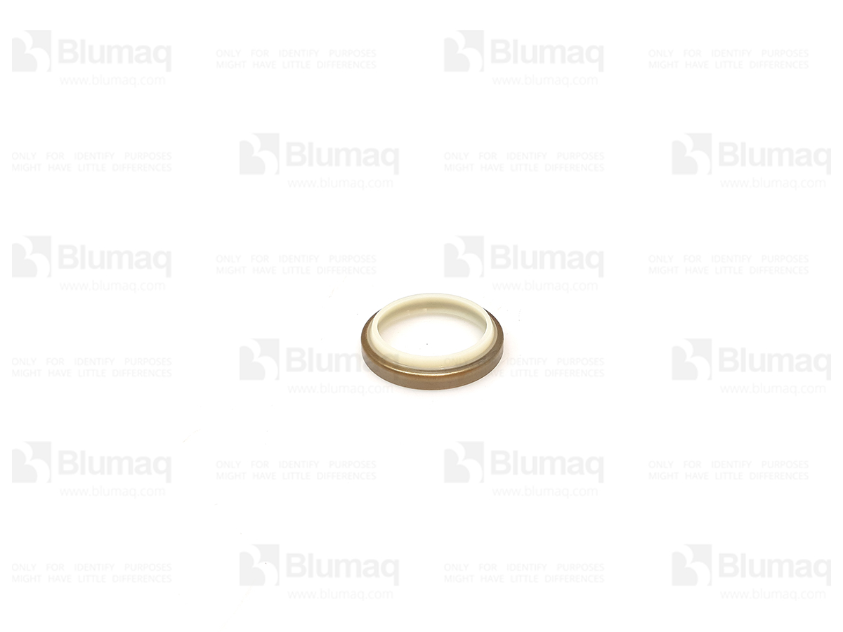 2508702 ST SEAL-WIPER