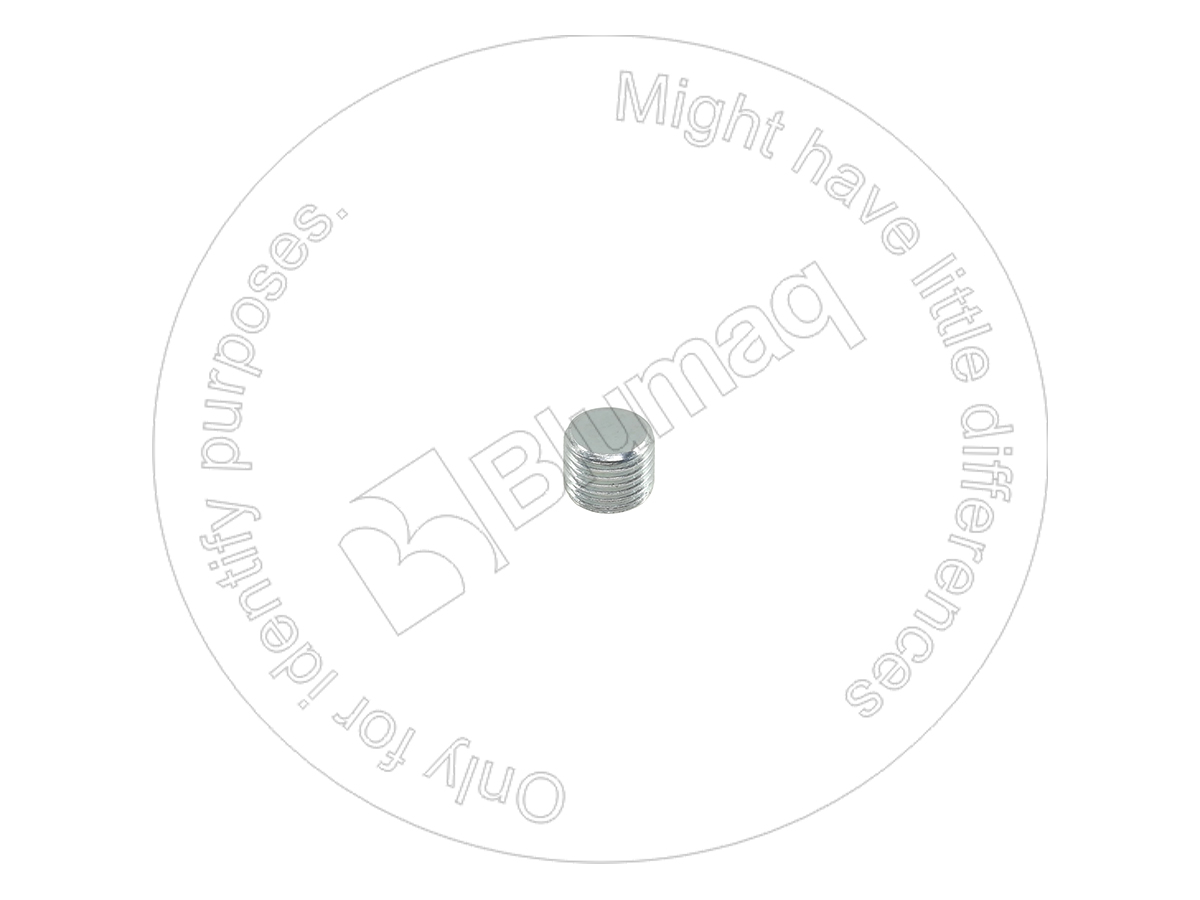 5W2999 OE ШТУЦЕР