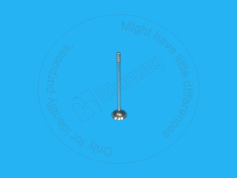 2481467 BQ ВЫПУСКНОЙ КЛАПАН