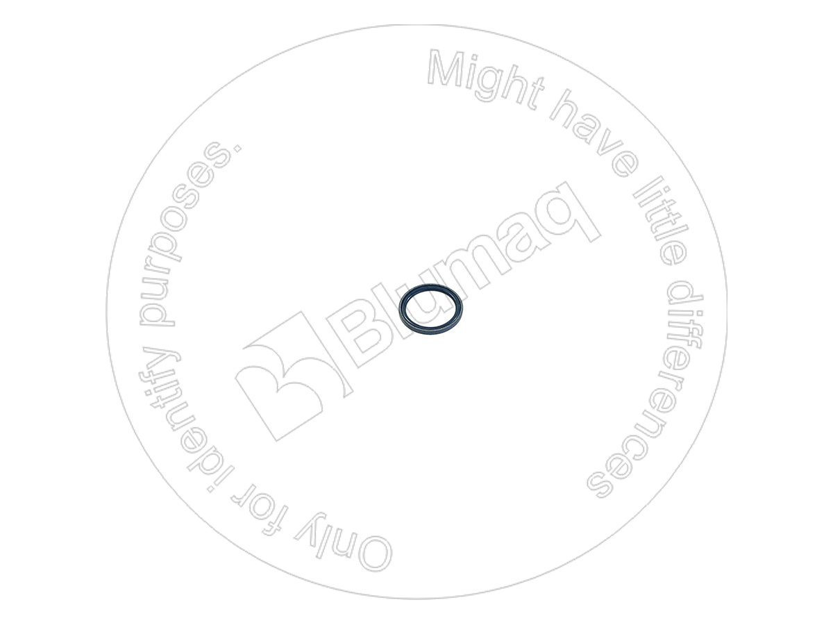 7008062350 OR УПЛОТНЕНИЕ