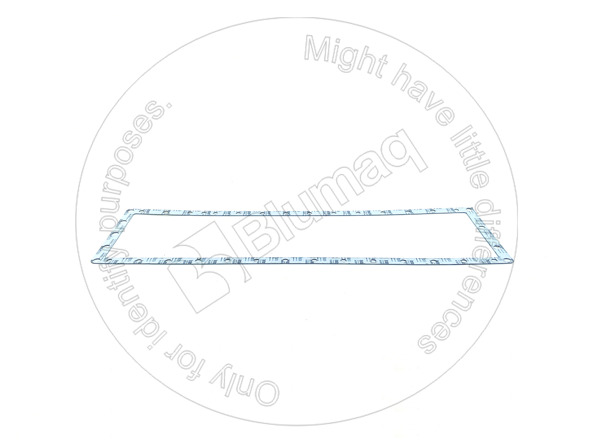 6N4948 BQ ПРОКЛАДКА