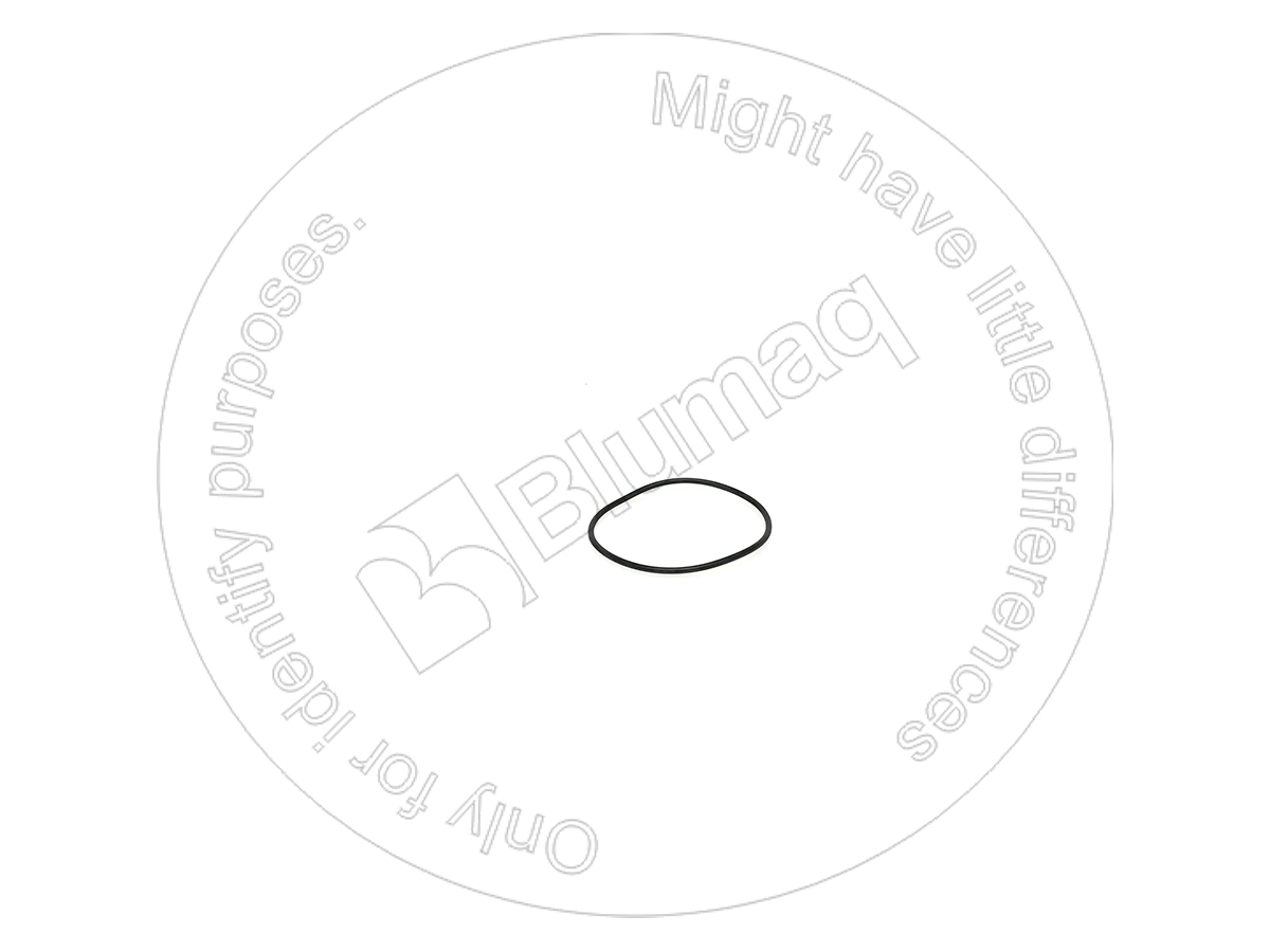 0951668 ST КОЛЬЦО КРУГЛОГО СЕЧЕНИЯ
