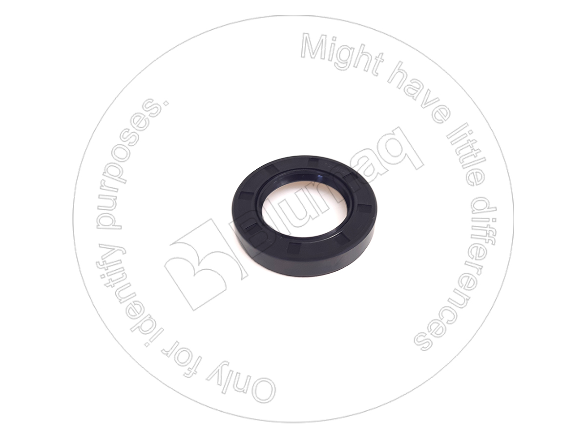 5I8769 ST САЛЬНИК