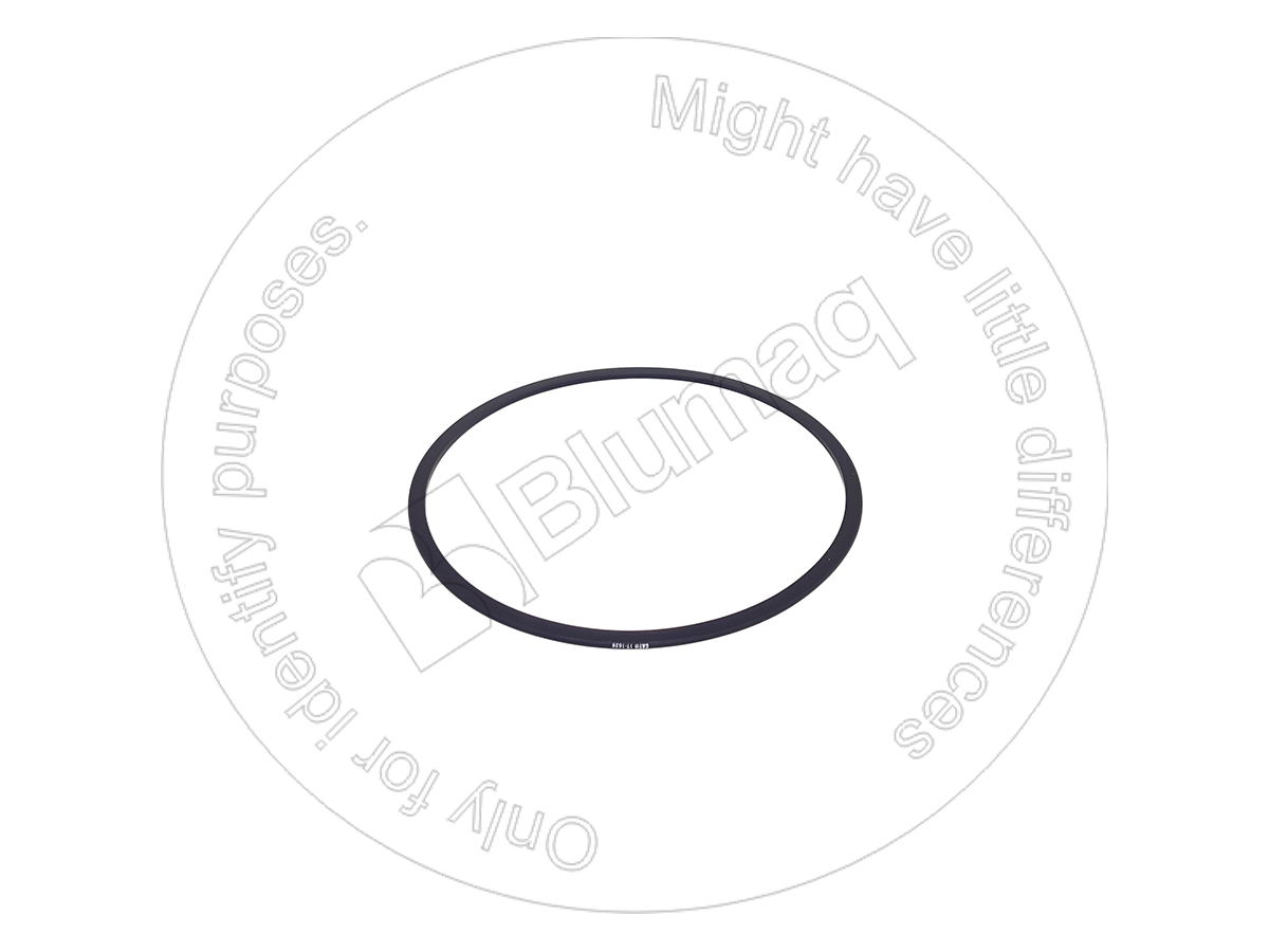 5132465 BQ САЛЬНИК