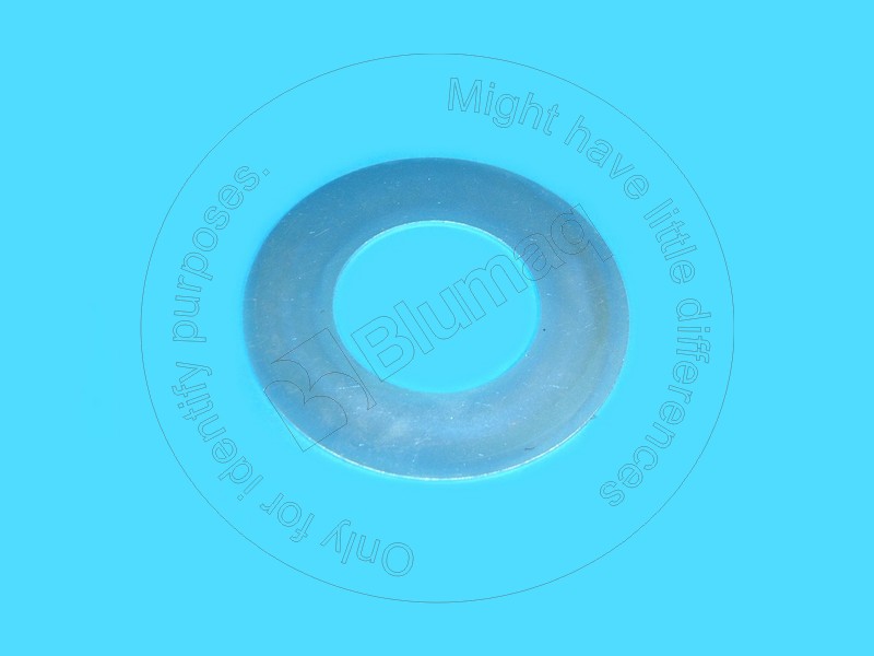 2G5672 OR ШАЙБА