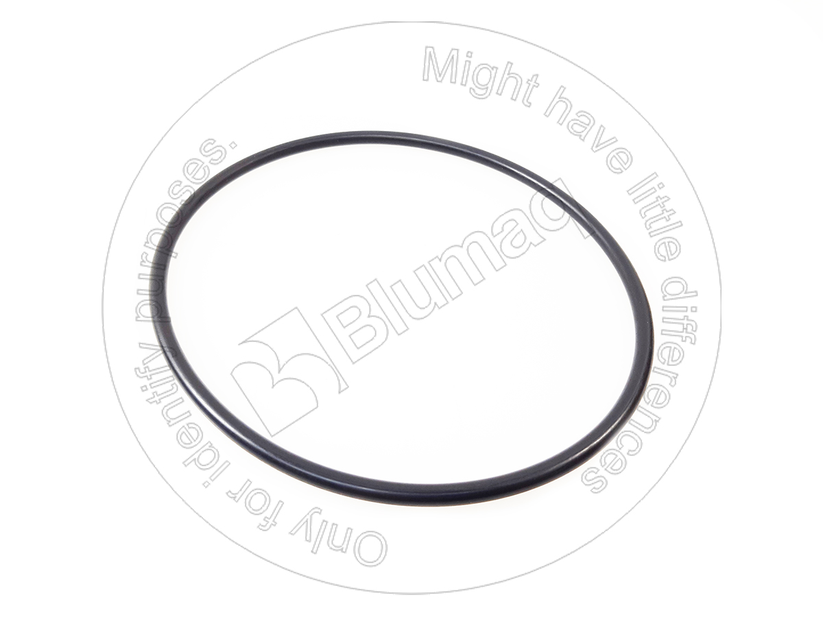 951725 ST КОЛЬЦО КРУГЛОГО СЕЧЕНИЯ